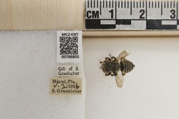 Media type: image;   Entomology 788805 Aspect: Labels